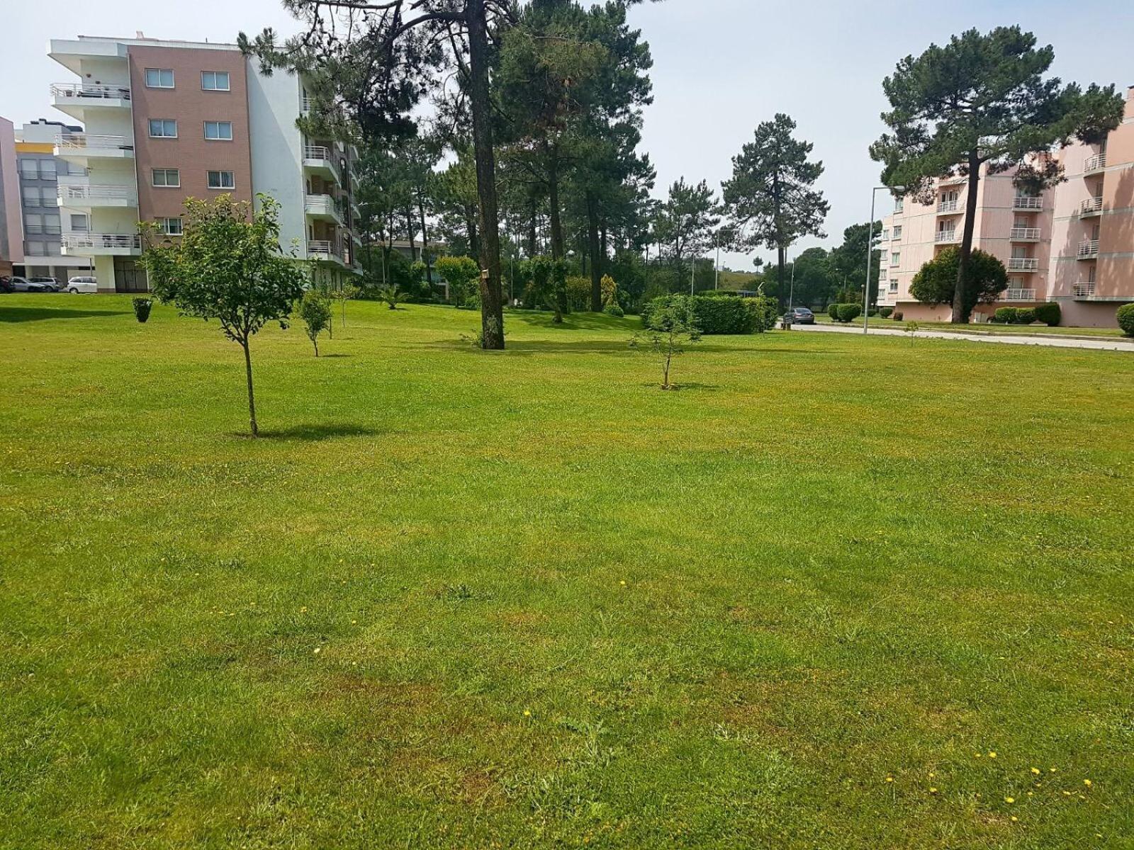 Viana Do Castelo, Cabedelo Beach Apartment 외부 사진